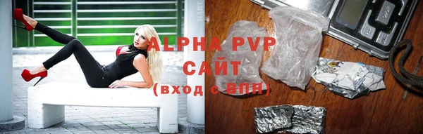 прущие грибы Богородицк