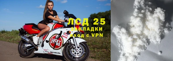 прущие грибы Богородицк