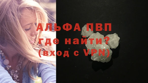 прущий лед Богданович