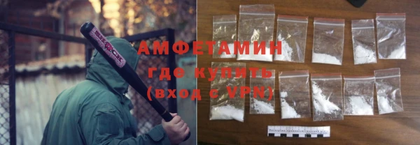 прущие грибы Богородицк