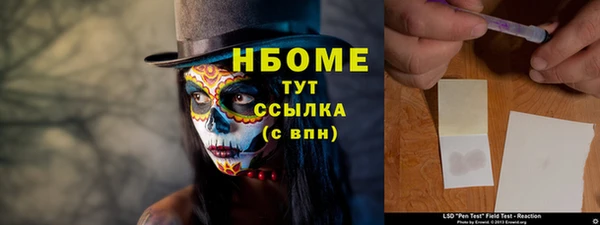 прущий лед Богданович