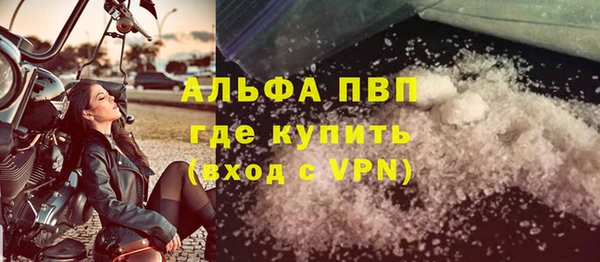 прущие грибы Богородицк