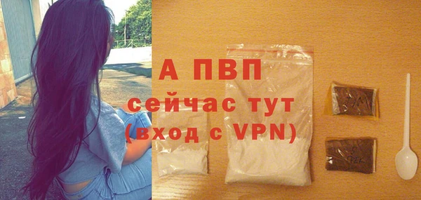 прущий лед Богданович