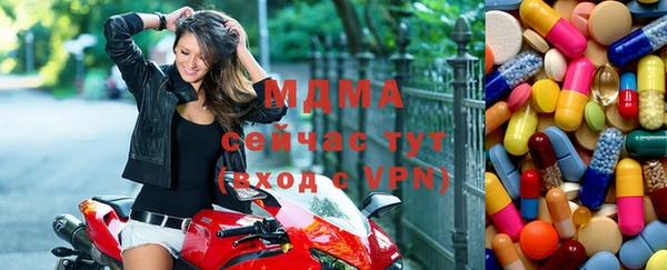 прущие грибы Богородицк