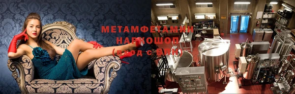 крисы Новокубанск