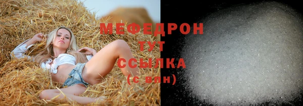 прущие грибы Богородицк
