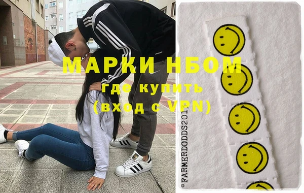 прущие грибы Богородицк