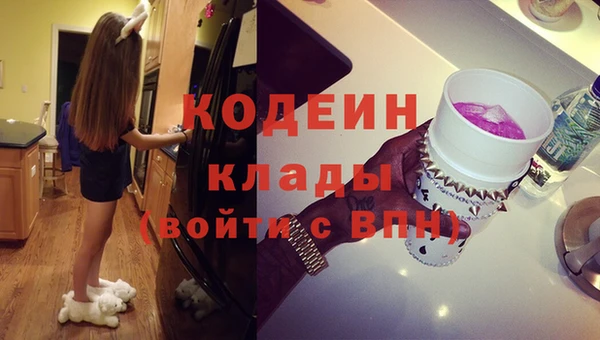 прущий лед Богданович