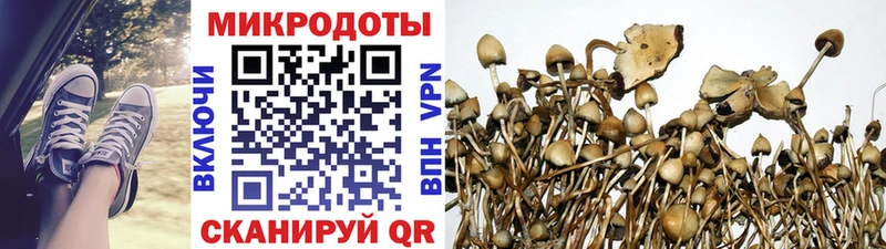 Галлюциногенные грибы MAGIC MUSHROOMS  дарнет шоп  Среднеуральск 
