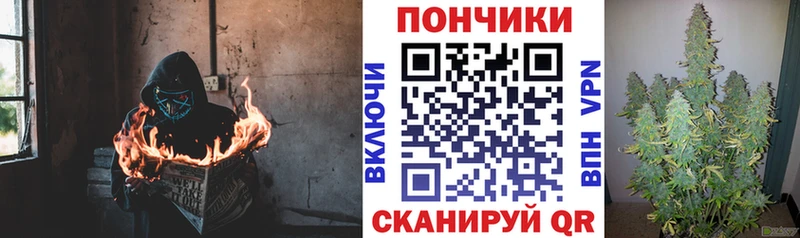 купить   Среднеуральск  Канабис ГИДРОПОН 